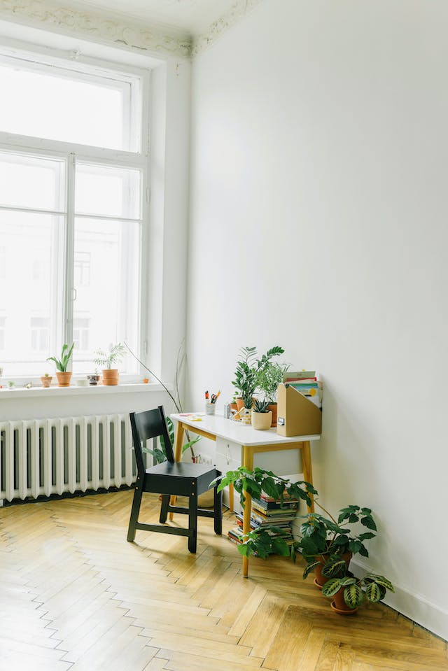 casement-windows-and-indoor-plants